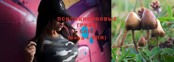 марихуана Богородицк