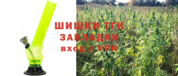метадон Богданович