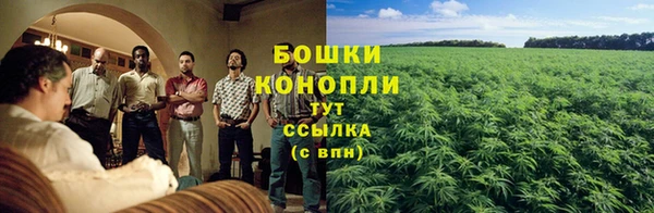 метадон Богданович