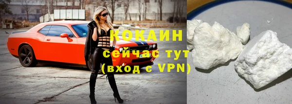 метадон Богданович
